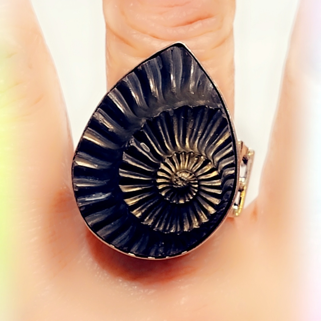 Ammanoide Shell Sterling Silver 925 Ring 97$
